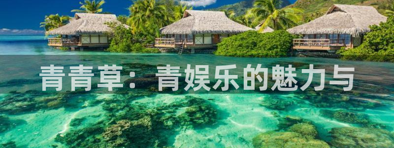 豪门国际官网：青青草：青娱乐的魅力与